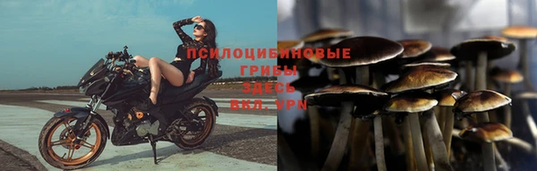 не бодяженный Богородск