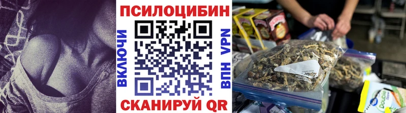 Купить где  Мценск  Псилоцибиновые грибы прущие грибы 